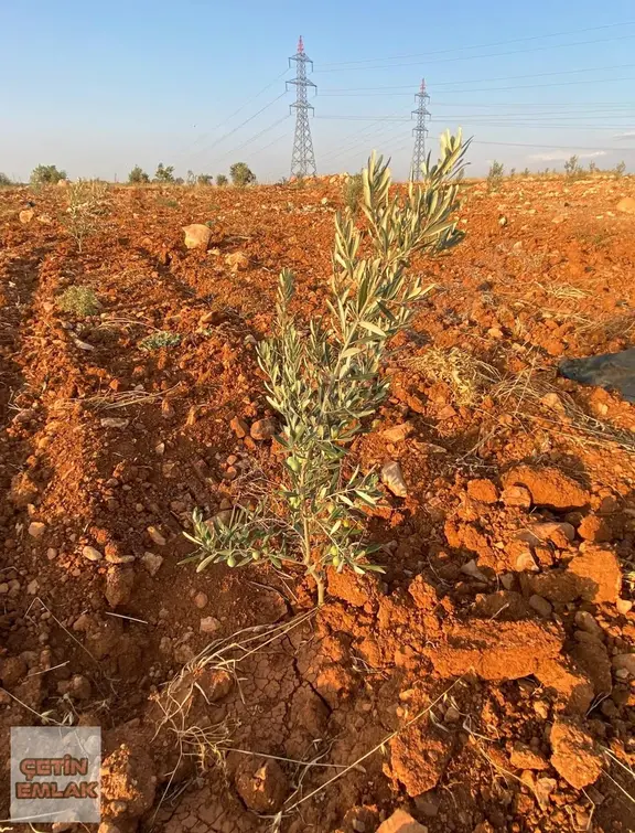 Çetin Emlak'tan.kürümde Yatırımlık Arazi 1
