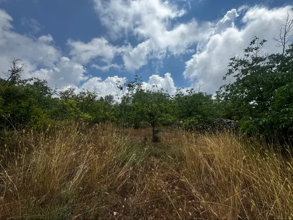 Küstüllü Yaylasında 1.500 Metre Arsa Villla İmarlı 2