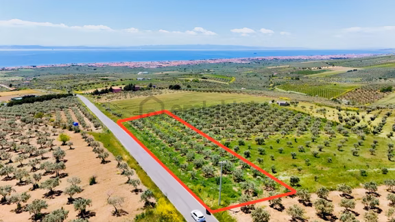 Şarköy İğdebağlarında Asfalt Yola Cepheli, Deniz Manzaralı 1