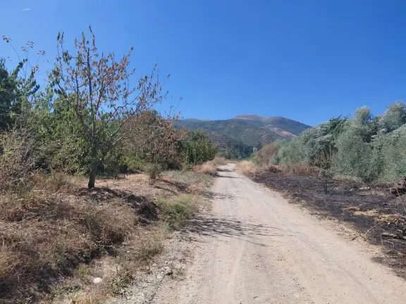 Bizim Emlaktan Akşehir Atakent Mahallesi'nde Satılık 662 M² Verimli Bahçe 1