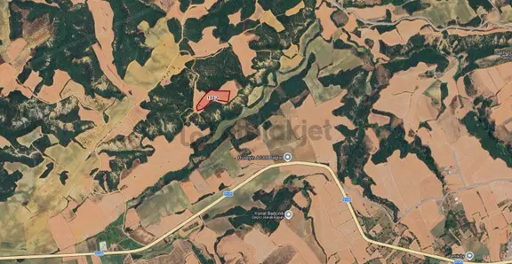 Bulut Yatırımdan 9400 M² Geniş Kullanım Alanlı Tarla 2