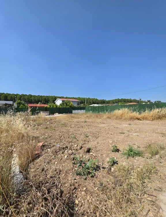 Buca Karacaağaçta Tapulu Bahçe 2