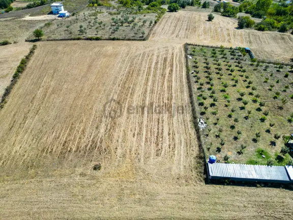 Uzmanlar'dan Karamürsel Avcıköy Satılık 2896 M2 Tarla 2