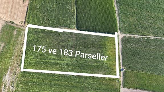 Bergama Zeytindağda 23.500 M² Verimli Yatırımlık Fırsat Tarla 2