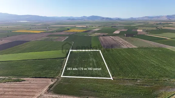 Bergama Zeytindağda 23.500 M² Verimli Yatırımlık Fırsat Tarla 2