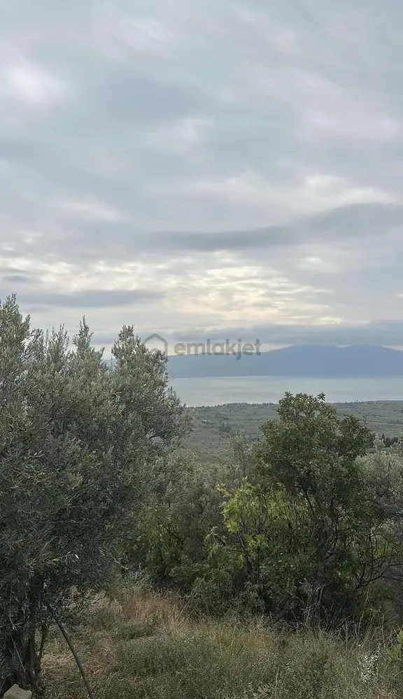 Orhangazi Çakırlıda İznik Gölü Manzaralı 688m2 Yatırımlık Tarla 1