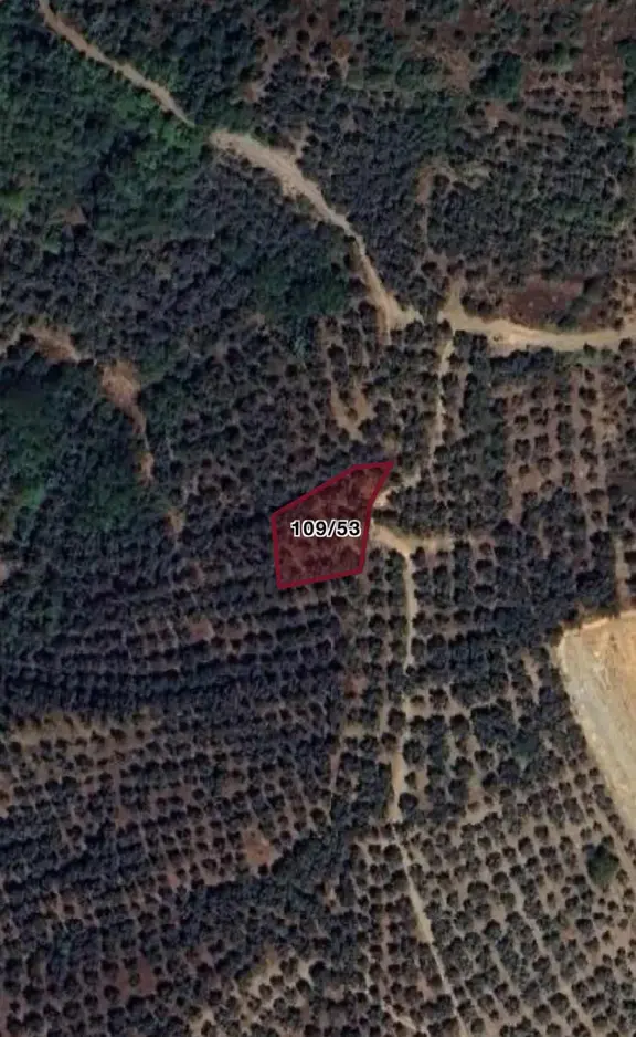 Orhangazi Çakırlıda İznik Gölü Manzaralı 688m2 Yatırımlık Tarla 2