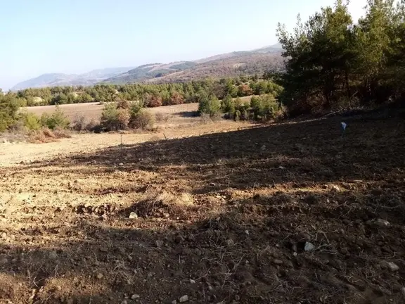 Elmalı Bakıcı Konutu Özel Su Kuyusu Ve Deposu Dahil 63650 M2 2