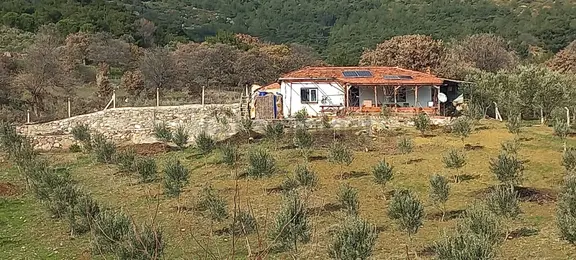 Satılık Müstakiltapu 2