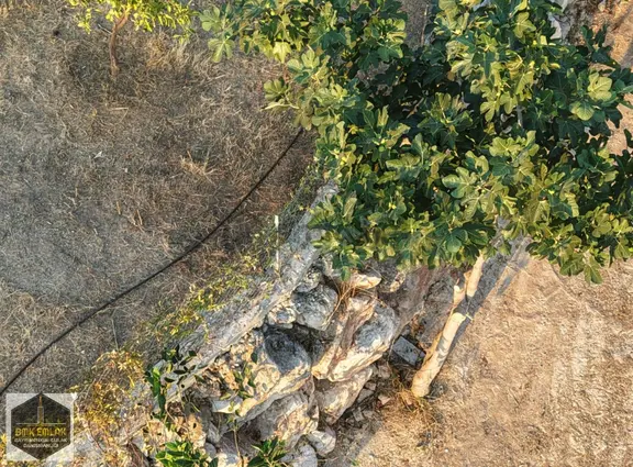 Bmkdan Kumluca Yenicede 2 Adet Müstakil Tapulu Arsa 2