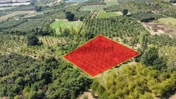 Ulucan'dan İnegöl Çeltikçide Satılık Mükemmel Tarla 2