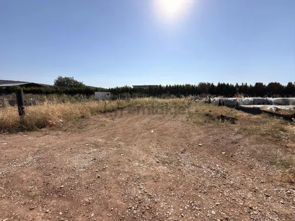 Oğlananası'da Satılık Tapulu Parsel 2