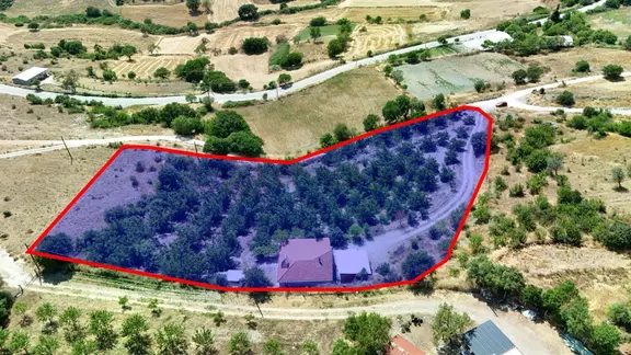 Balıkesir Akarsu Köyü Satılık Cevizlik Ve Müstakil Ev 2
