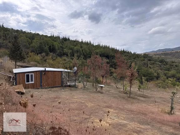 Kumbağ Orman İçi Bağ Evi: 1315m² Arazi, Eşyalı, Denize Yakın 1