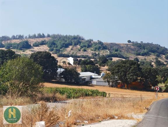 Has Real Estate Gayrimenkul Den Dereçiftlik De Satılık Tarla 1