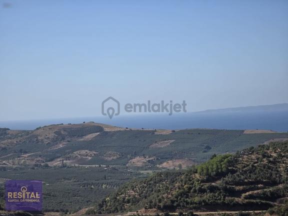 Mudanya Yalıçiftlik'te Deniz Manzaralı Yatırımlık 1.350 M² Tarla 2