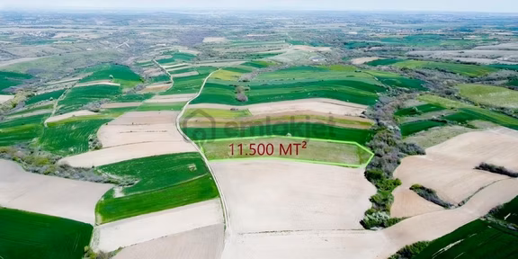 Tekirdağ Hayrabolu Hedeyli 11.500 Mt² Tarla K.kartına 12 Taksit 2