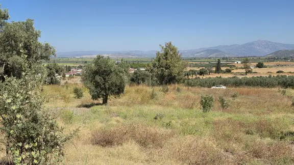 Didim Merkeze 17km Balat Mah Asvalta 65 Mt Cepheli Satılık Tarla 1