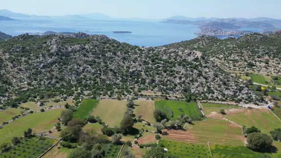 Joker: Marmaris Taşlıca Yol Cephe Sit Yok Güzel Konum Tarla 2