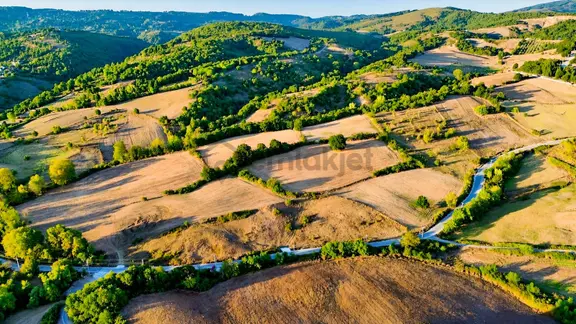 Furkan Demir'den Karamürsel İhsaniye'de 16822 M2 Satılık Tarla 2