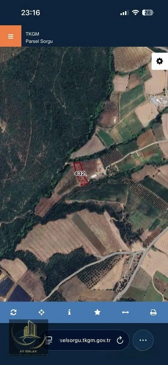 Karacabey Okçularda Cevizlik Ve Yatırımlık Fırsat Arazi 2