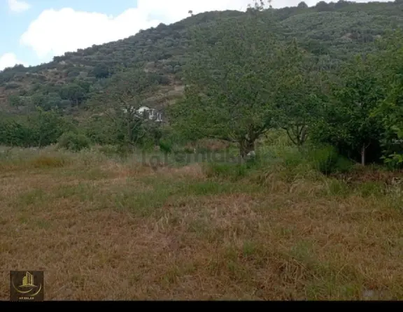 Erdek Ballipinarda 447 M Kiraz Bahçesi 1