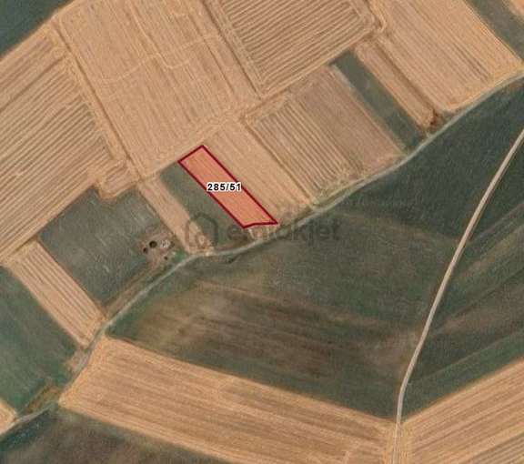 Tekirdağ Ergene Vakıflar Satılık Tarla 2