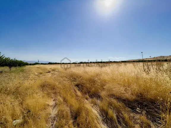 Yağızbey'den Akçadağ Esenli'de Satılık 20.000 M2 Tarla 2