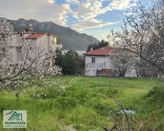 Söğütte Ve Civar Köylerde Uygun Fiyatlı Arsalar Arayınız 1