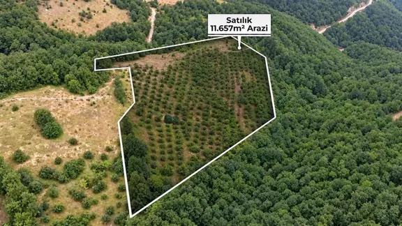 Fırsat Fiyata ! Canik Gölalan 11.6 Dönüm Acil Satılık Fırsat !!! 1