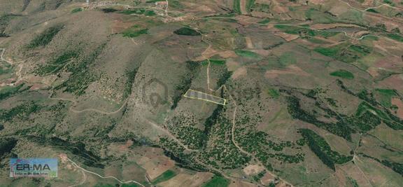 Kula Konurca'da Satılık Bedavadan Biraz Pahalı 9622 M2 Arazi 2