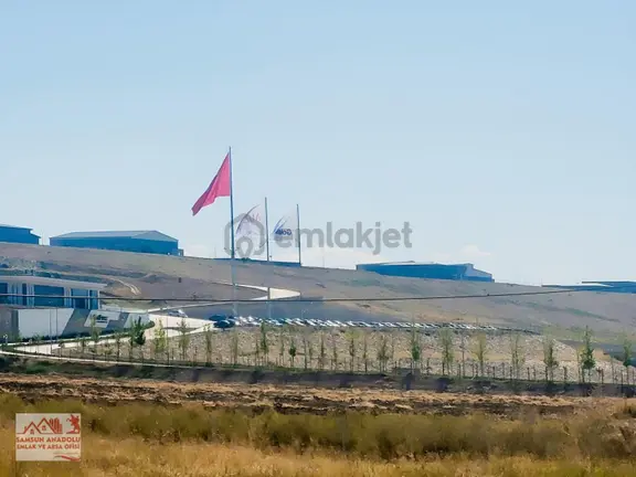 Çorum Sungurlu Aşağıbeşpınar 20 Dönüm Satılık Tarla 2