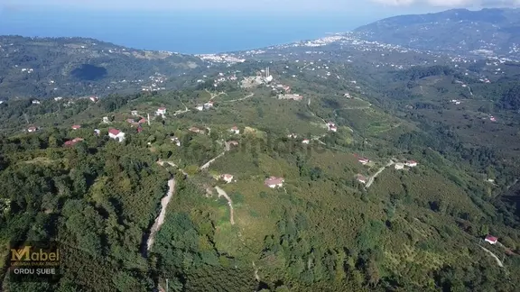 Mabel`den Beyli Mah.de Verimli 3,079 M2 Fındık Bahçesi 1