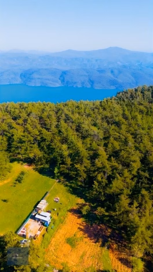 Muğla Menteşe Kuyucak Mahallesinde Satılık Tarla 2787 M2 1