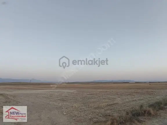 New Formdan Buget Köyünde 75 Dönüm Satılık Tarla 1