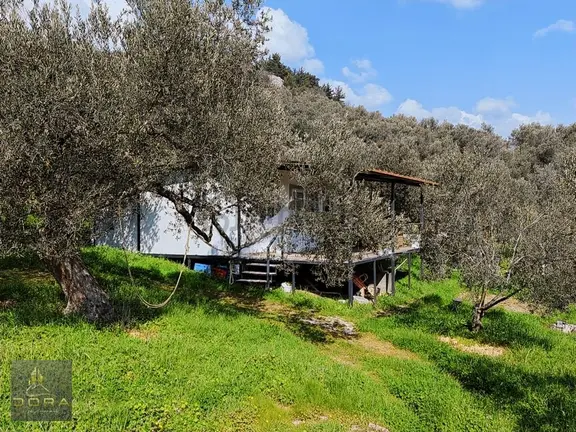 Dora Dan Satılık Edremitte Hayalinizdeki Doğal Yaşam Alanı 2