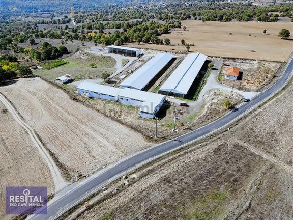 Bursa Büyükorhan Satılık Kurulu Düzen Hazır Çiftlik 2
