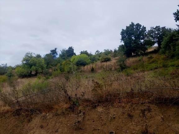 Çanakkale Lapseki Nusretiye Köyünde İmarlı Arsa 2