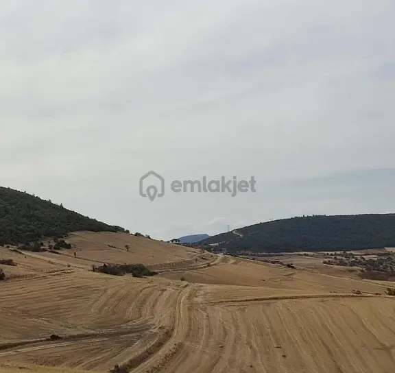 Wera'dan 5100 M2satılık Tarla 2