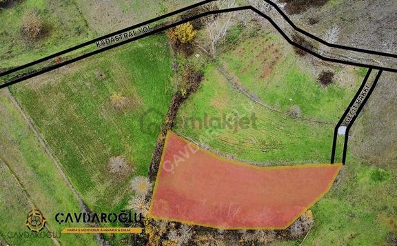 Samsun Kavak Yenigün'de Satılık 1485m² Yapılaşmaya Uygun Tarla 2