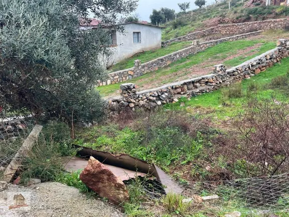 İzmir Torbalı Gold Emlaktan Satılık Zeytin Bahçesi 2