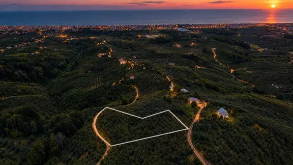 Kocaali Alandere'de Deniz Manzaralı Fındıklık 2