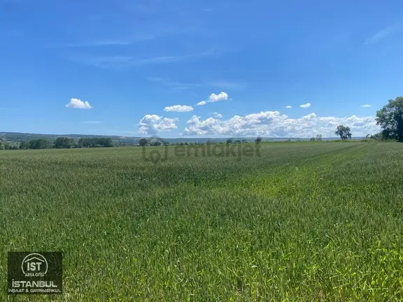 Vize Devlet Mahallesinde 186 M² Çaplı Tarla 2
