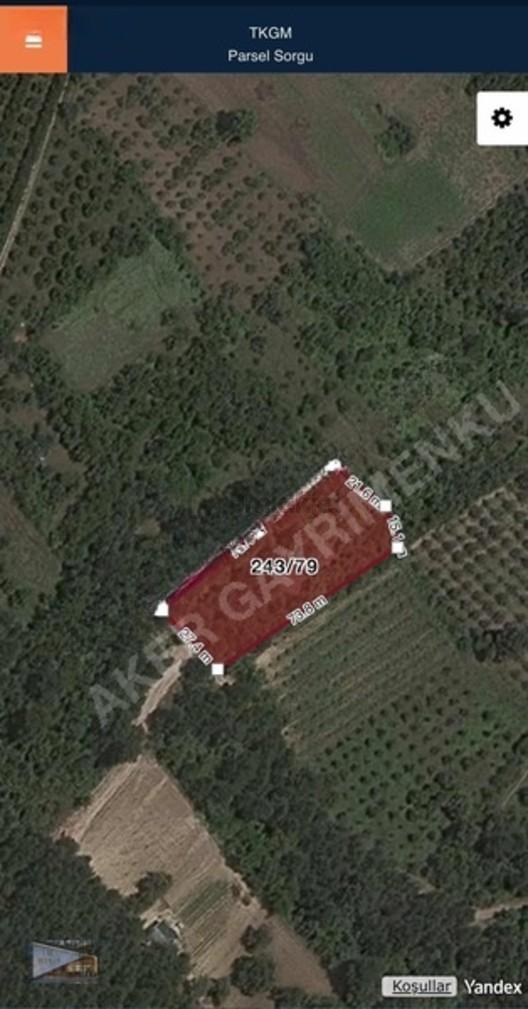 Baker'den İnegöl Cerrah'da 2.460 M2 İmara 287 Metre Mesafede 2