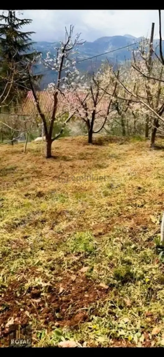 Böğrüeğri Yaylası'nda Satılık Daire 2