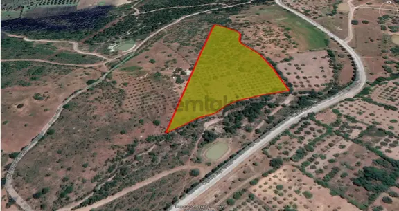 Manisa Yunusemre Akçaköy'de 18.400 M² Satılık Zeytin Ve Antep Fıstığı Bahçesi 1