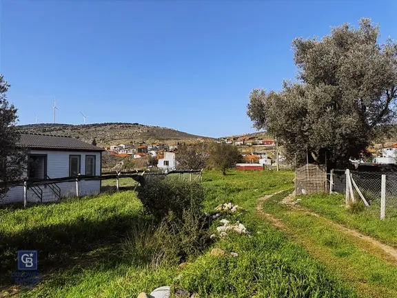 Urla Zeytinelinde Satılık Zeytin Ağaçlı Tarla | Müstakil Parsel 2