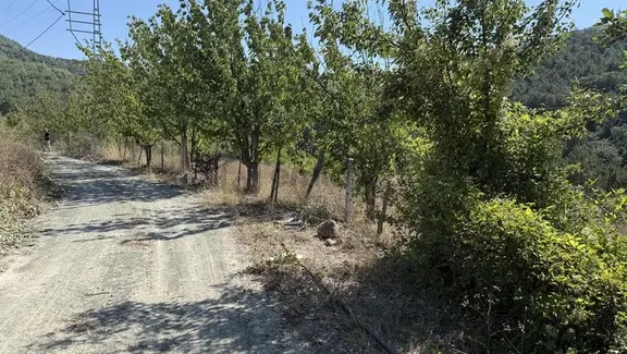 Ömer Emlaktan Yola Cephe Kiraz Bahçesi 1