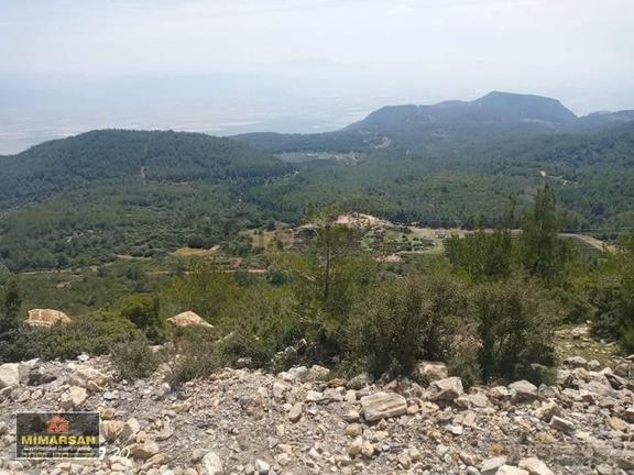 Söke Sazlı'da Satılık 55.725 M² Tarla - Yatırım Fırsatı 1