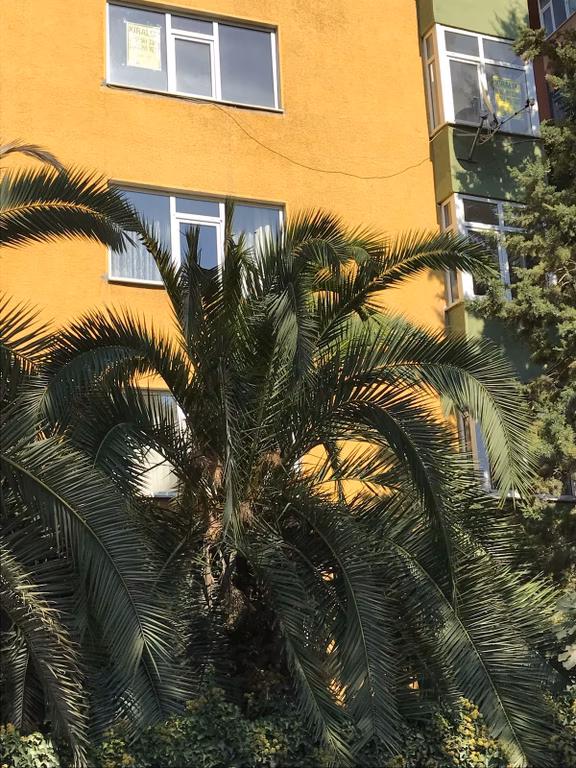 Kadıköy Belediyesine Yakın Kent Plas Cepheli 3+1 Kiralık 2